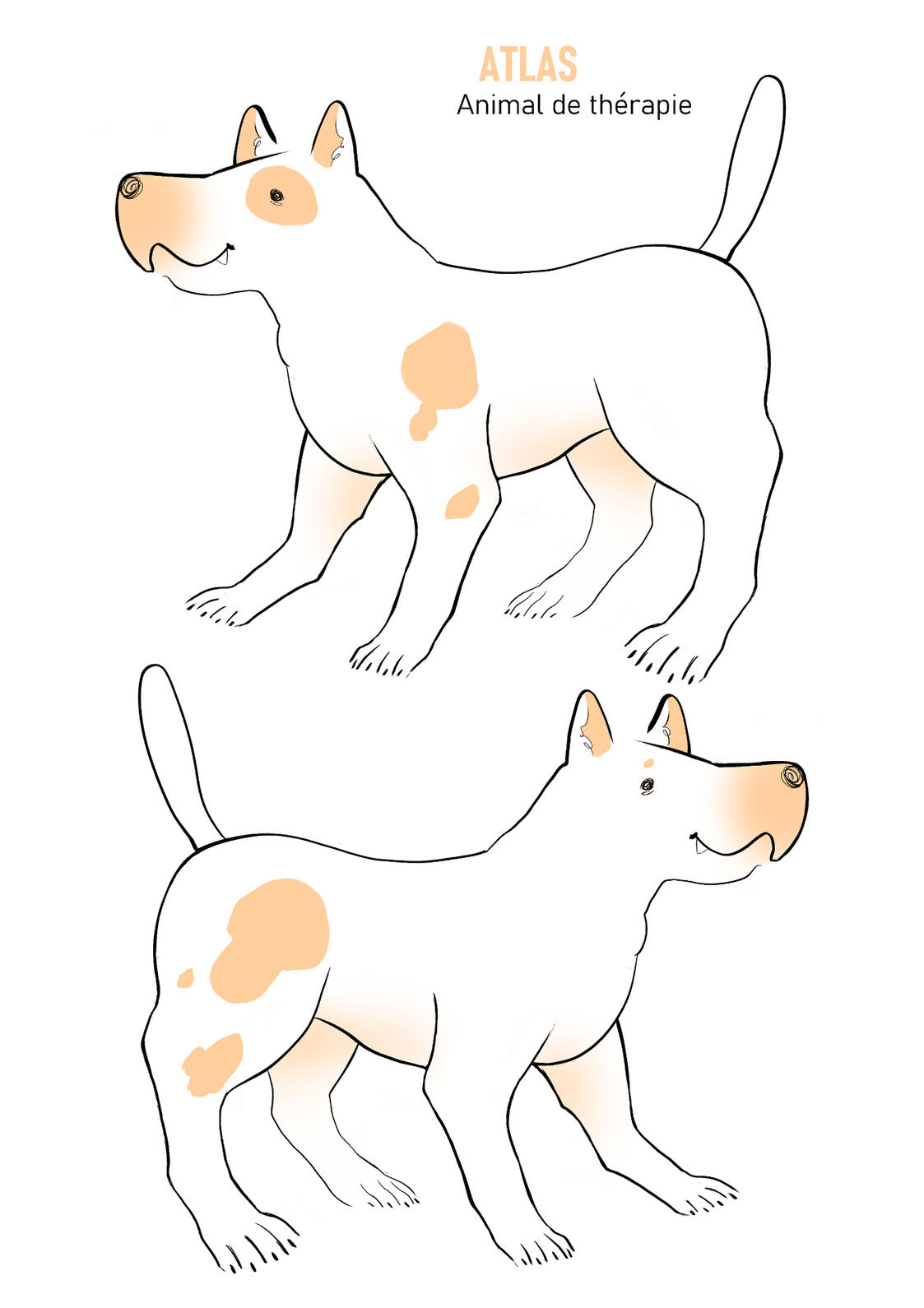 Atlas